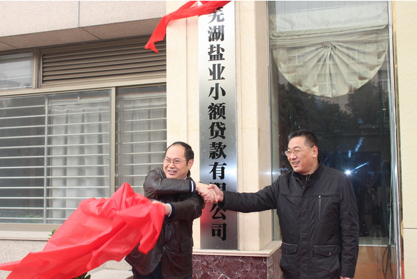 芜湖AG旗舰厅小额贷款有限公司12月26日举行开业庆典