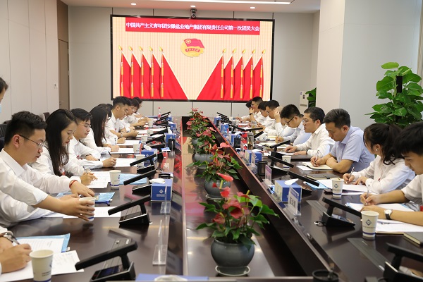 青春向党传薪火 踔厉高昂新时代——安徽AG旗舰厅地产集团团支部建设大会暨团员大会胜利召开